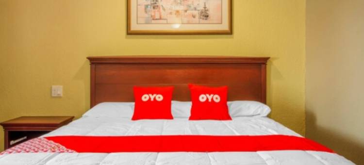 OYO 巴托精品经济酒店(OYO Superior Budget Inn Bartow)图片