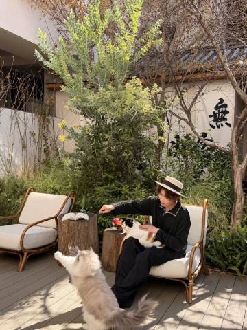 大理雲影春晓·有缘等风来海景度假酒店(双廊洱海店)图片