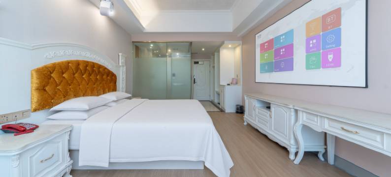 邵东维多利臻品酒店图片