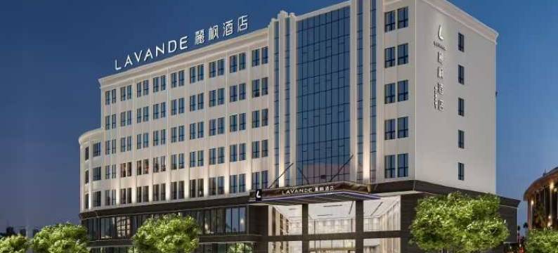 麗枫酒店(阳江会展中心店)图片