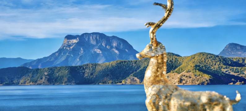 泸沽湖前湖·月遥全湖景度假酒店(泸沽湖普洛码头店)图片