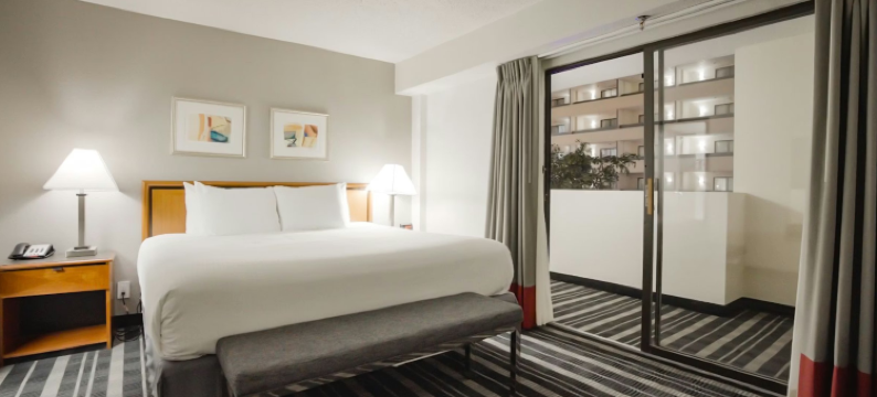 DFW机场中庭套房酒店(Atrium Hotel and Suites DFW Airport)图片