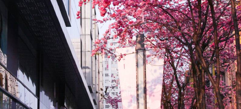 昆明金鹰广场酒店(昆明老街南屏步行街店)图片