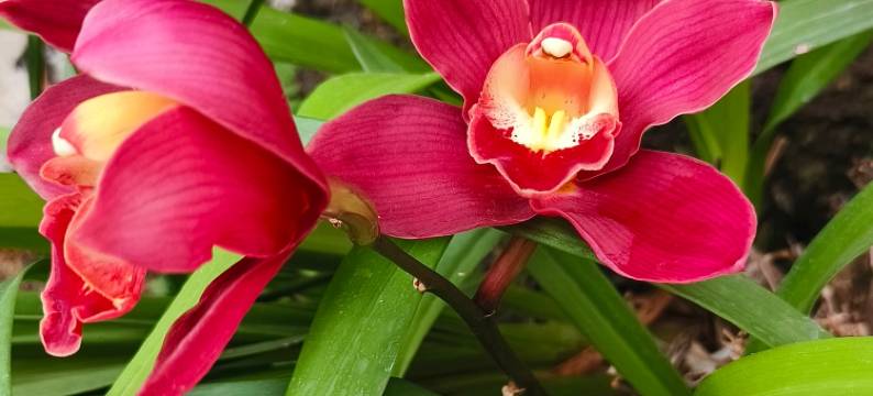 如家·云上四季尚品酒店(瑞丽财富广场旅游步行街店)图片