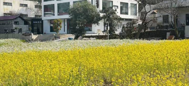 宁国・水林间丨Cloud Mountain竹筏・亲子美墅(皖南川藏线储家滩店)图片