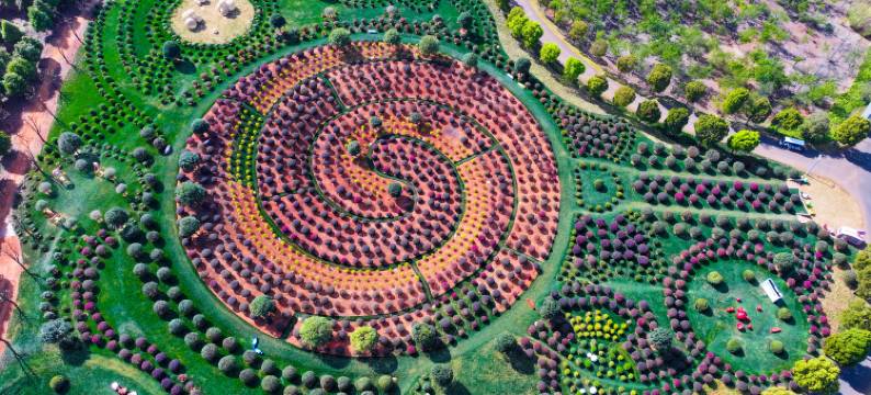 弥勒太平湖森林木屋酒店图片