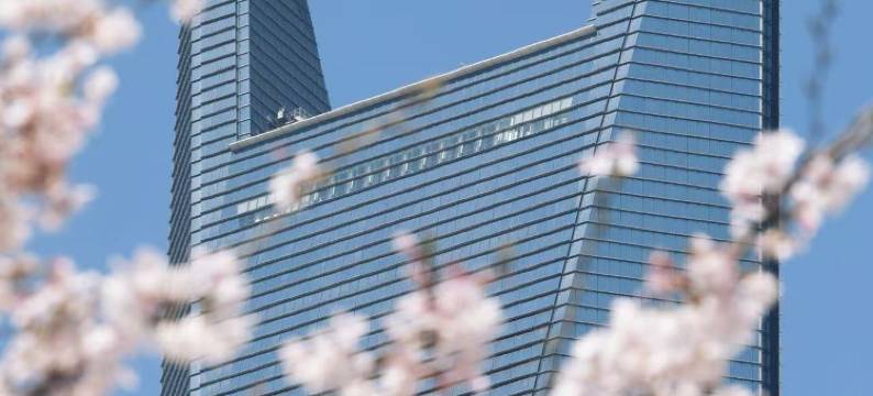 上海柏悦酒店图片