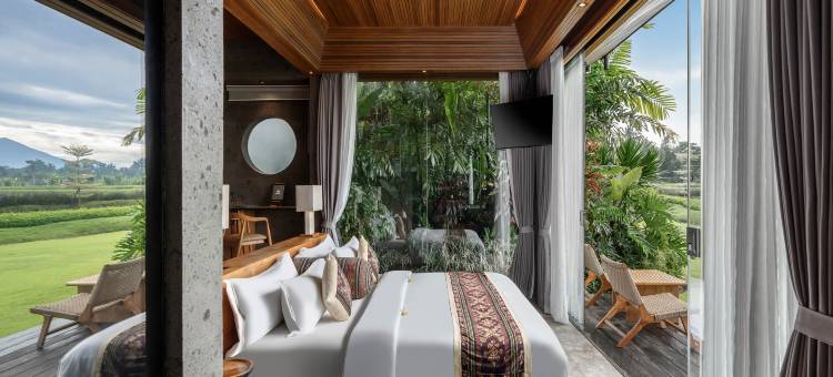巴厘岛格达斯健康养生度假村(Gdas Bali Health and Wellness Resort)图片
