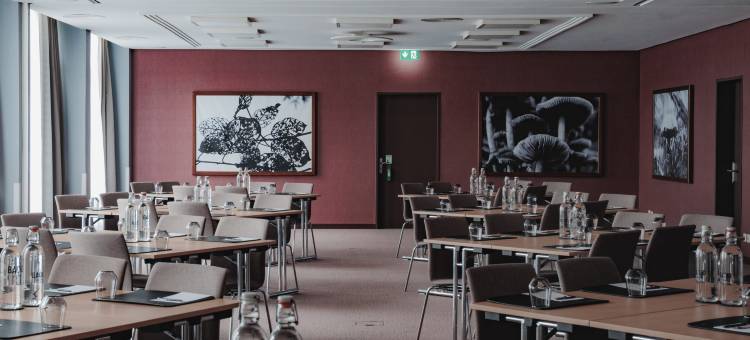 阿梅隆卢塞恩芙罗拉酒店(AMERON Luzern Hotel Flora)图片