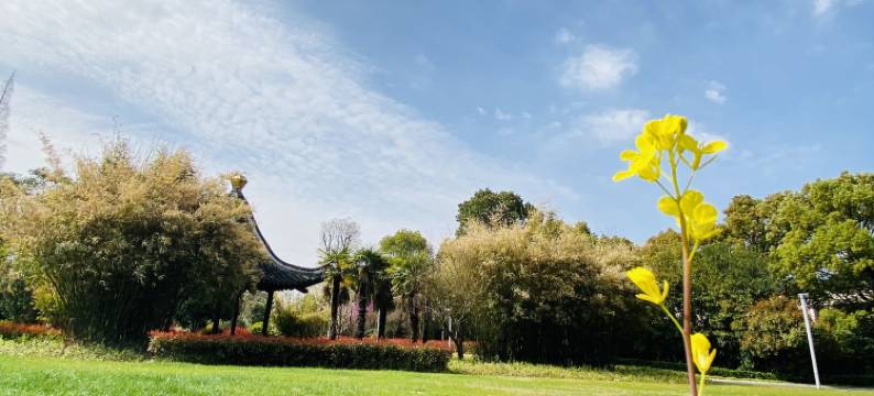 镇江迎宾馆图片