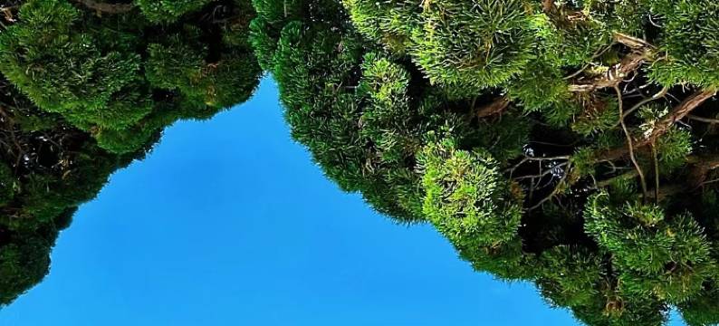 金釜快捷酒店(青岛五四广场店)图片