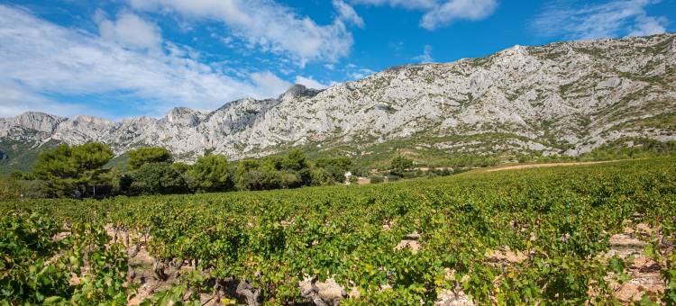 舒适公寓酒店 艾克斯 勒托洛内(Comfort Aparthotel Aix le Tholonet)图片