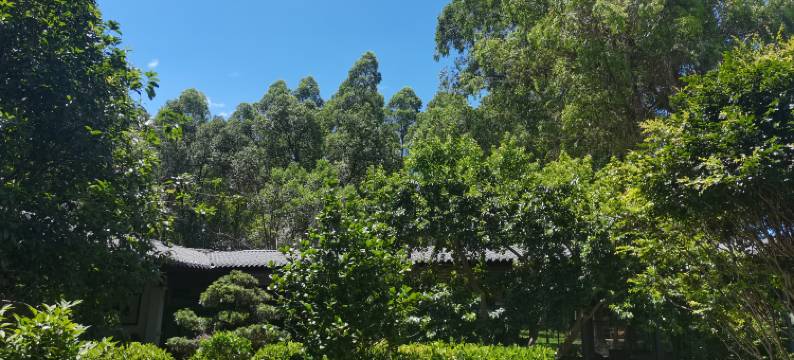 连平莲塘山庄图片