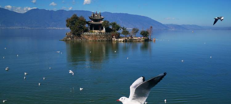 大理驿泊·迷漾My观海墅(海东理想邦店)图片