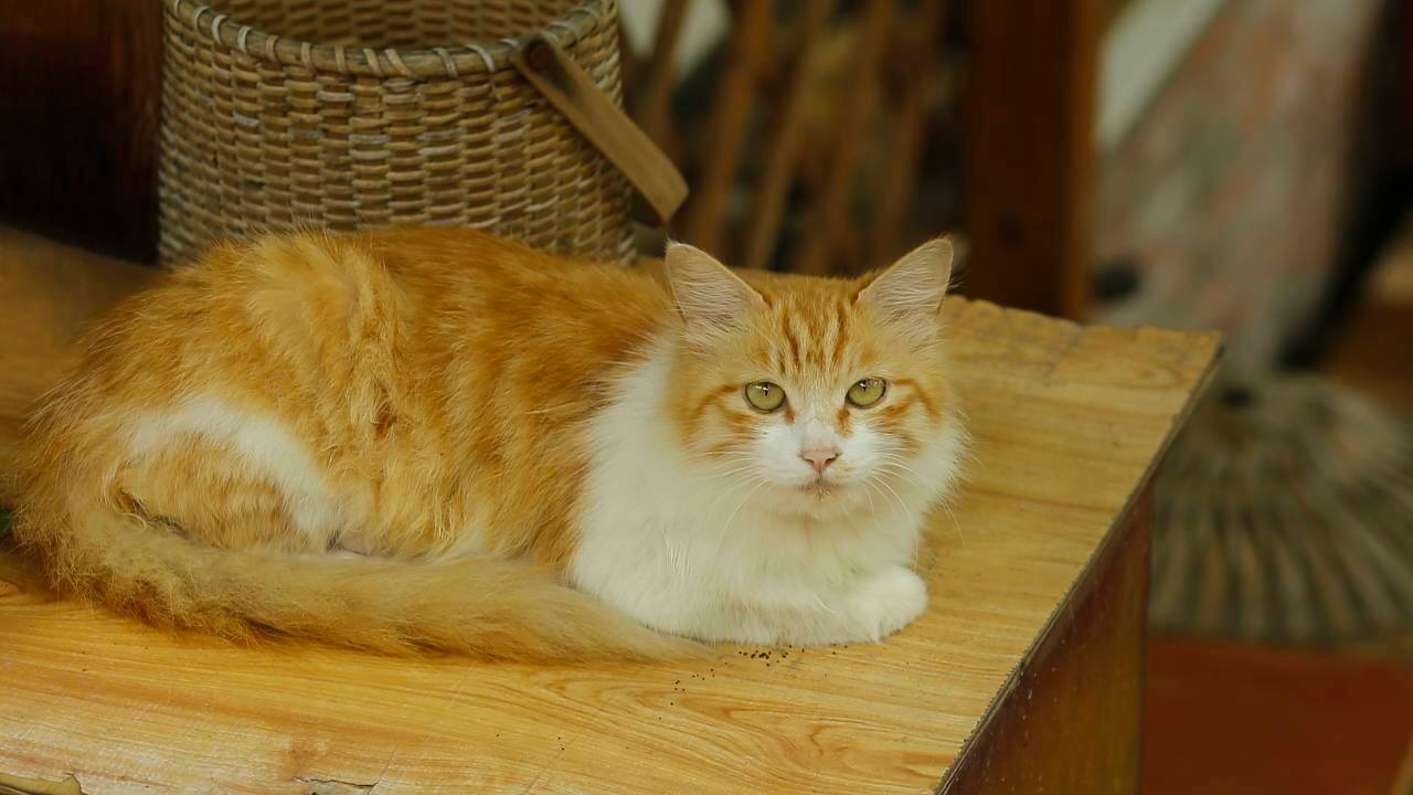 花美时自在旅居精品民宿(普者黑风景区青龙山店)图片