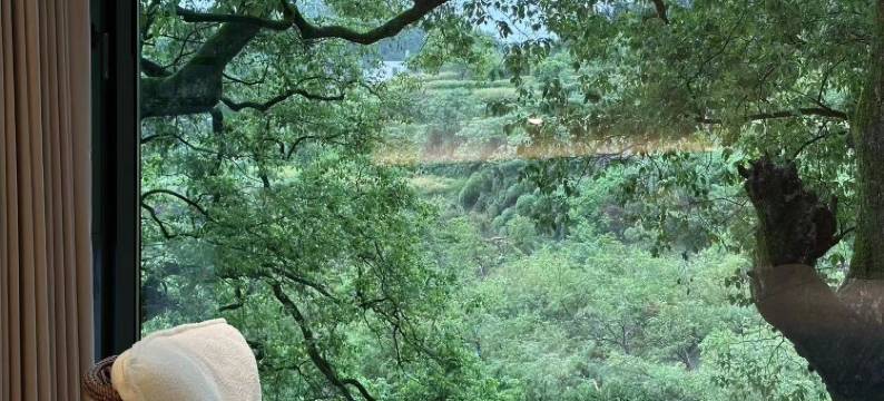 香遇·老樟树民宿图片