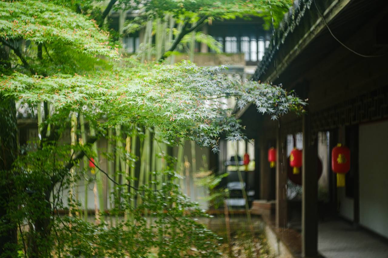 花筑·景德镇景元民宿酒店图片