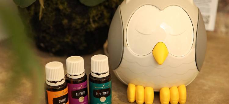 18套房精品酒店(Suite 18 Boutique Hotel)图片