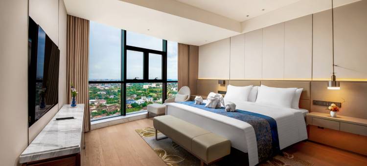 万象拉萨翁万达文华酒店(Latsavong Wanda Vista Vientiane)图片