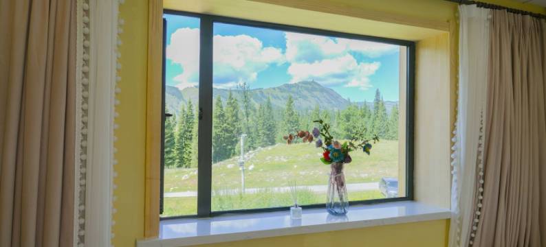 喀纳斯湖滨山庄(老村店)图片