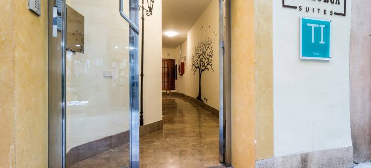 马略卡套房公寓 - 室内旅游(Mallorca Suites - Turismo de Interior)图片