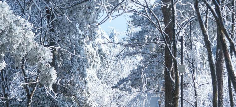 新昌天姥山天姥隐酒店图片