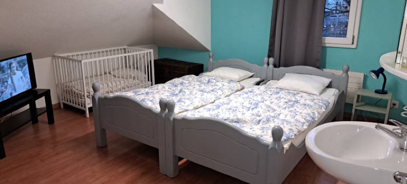 卢塞恩贝尔帕克青年旅馆(Bellpark Hostel)图片