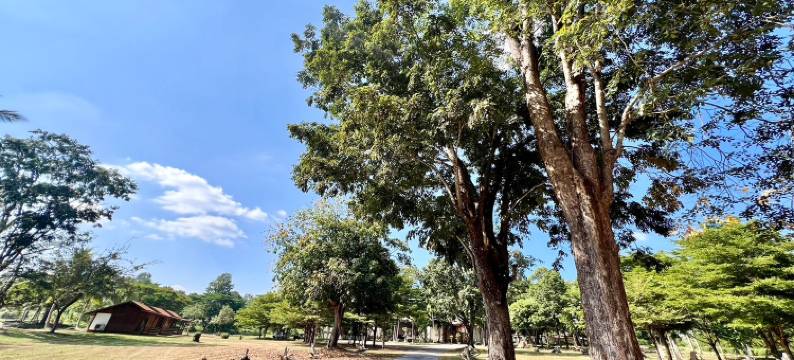 法朗度假村(Fahluang Resort)图片
