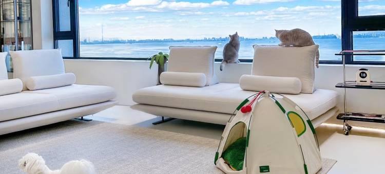 北海银滩水月洞天海景民宿图片