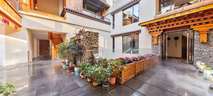 林芝九和精品客栈(尼洋河店)图片