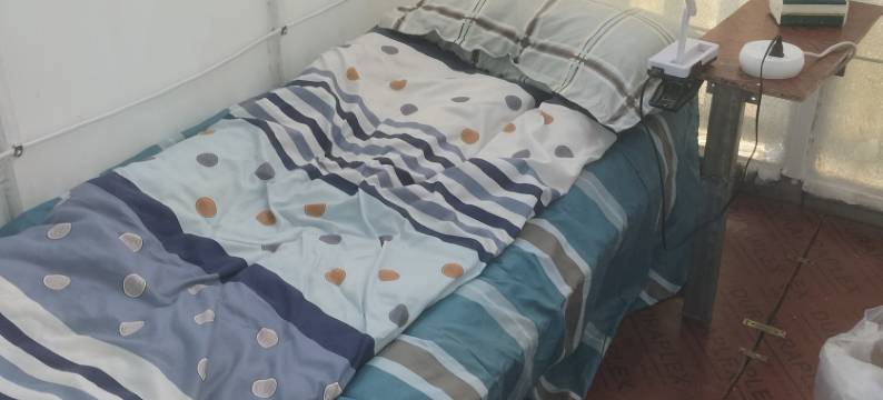 扬州老叶名宿图片