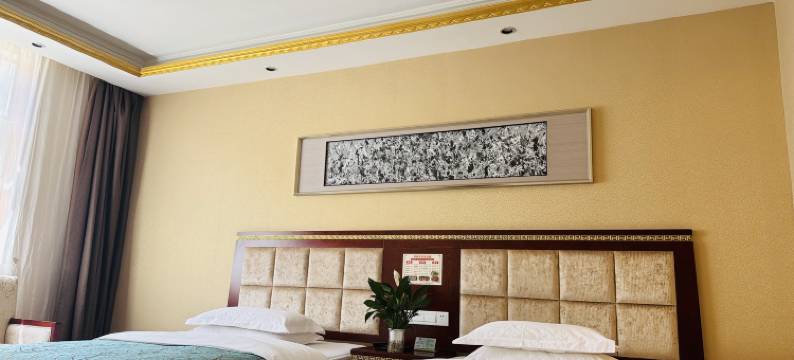 迭部苯日钦牡大酒店图片