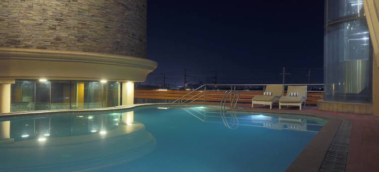 灶神星国际酒店(Vesta International)图片