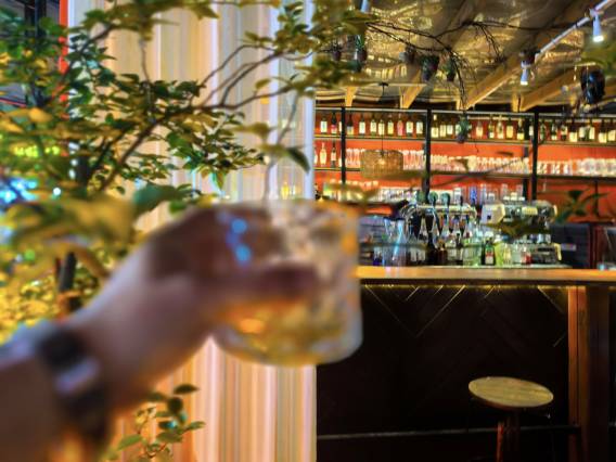 圈圈里·花园度假MUSICAT美宿(较场尾大鹏所城店)图片