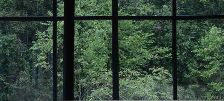 汐溪里民宿图片