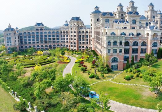 Pegasos RoyalOver view