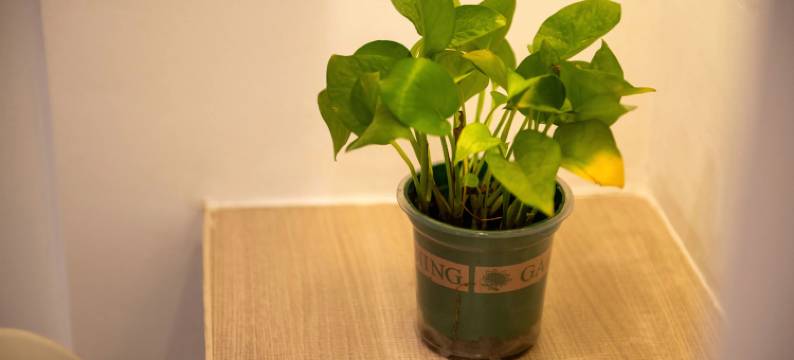 潮居公寓(深圳福田中心岗厦地铁站店)图片