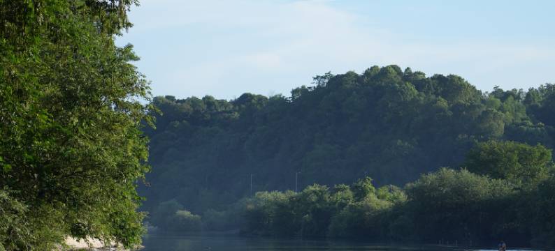 香遇·老樟树民宿图片