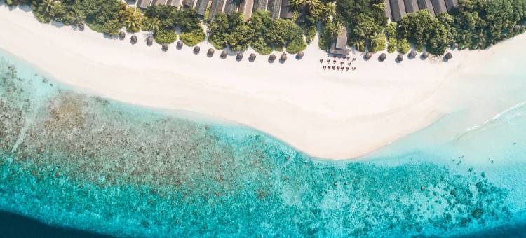 马尔代夫丽缇NH精选度假村(NH Collection Maldives Reethi Resort)图片