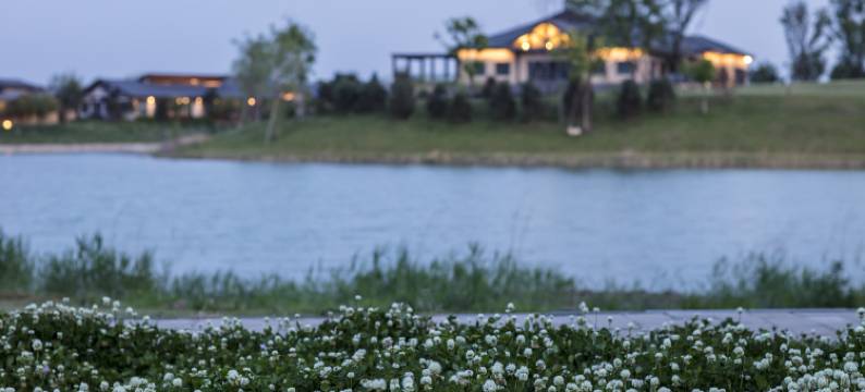 文安绿发希尔顿酒店图片