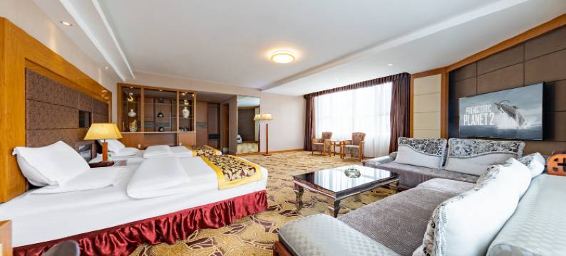 拉萨兰泽假日酒店图片