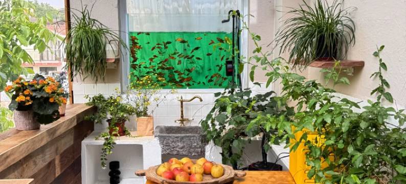 亲然亲子花园·见山温泉度假 Villa美墅    (怀北国际滑雪场店)图片