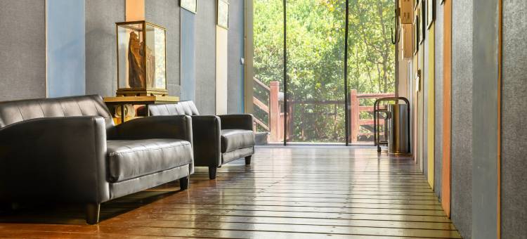 南投清境之星乐活民宿图片