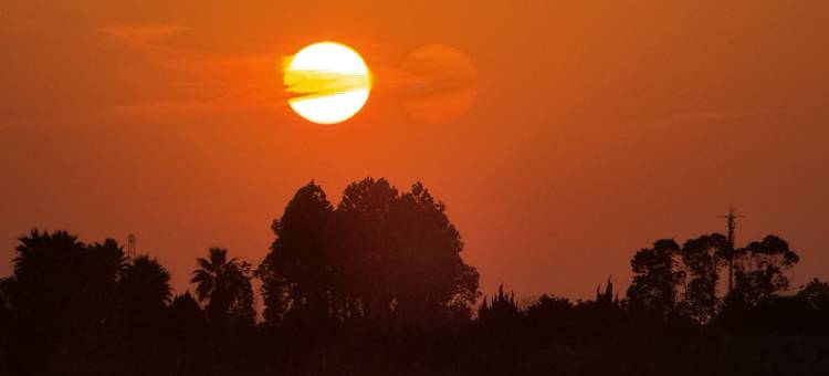 慈溪缦心湾度假酒店(方特湿地公园店)图片