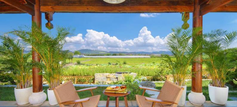 抚仙湖霞客云栖民宿图片