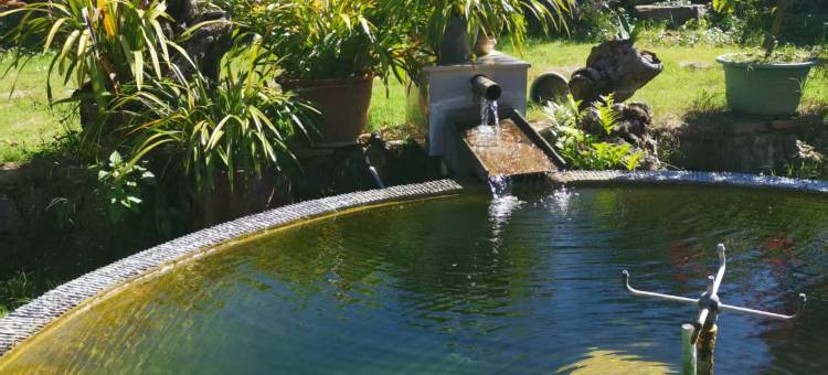 元江坡垤彝生园客栈图片