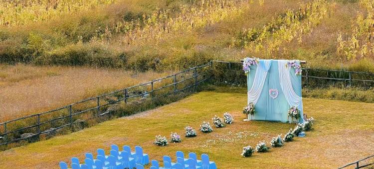 大理桃溪梦蝶秘境庄园图片