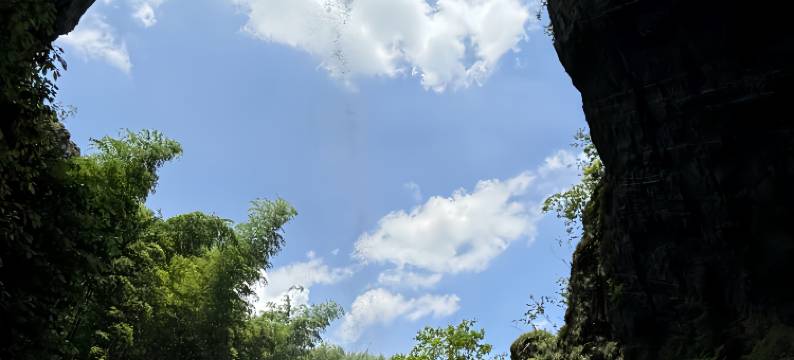 安吉·朗月行野奢民宿(浮憩谷店)图片