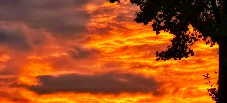 格林豪泰酒店(宁国市宁国大道诚信大厦店)图片