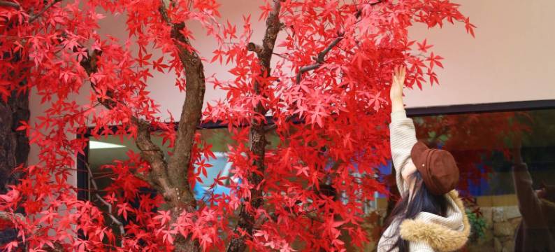 星境·暖炉煮茶·山涧漫享·度假星空·美墅(泾县月亮湾景区店)图片